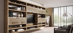 Home Theater